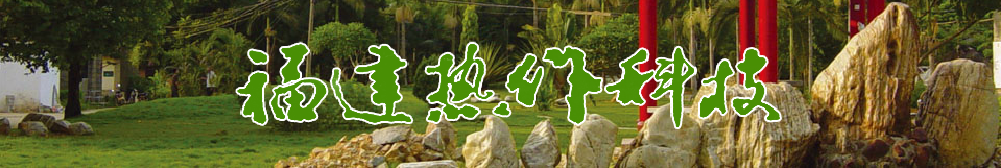 恒辉的发展方向
